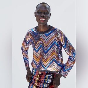Zara Multicolor Sequin Chevron Top
